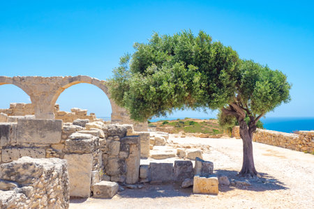 Cyprus. Pathos. Archaeological Park of Paphos. Excavations under the open sky. Museum Ruins on the background of blue sky. Byzantine ruins. Panorama of Cyprus. Travels in Paphos. Tree near the ruinsの写真素材