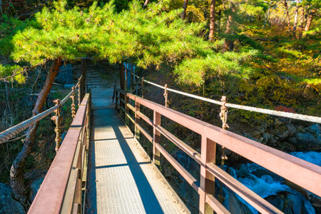 Kofu. Japan. autumn canyon. Bridge over the mountain river. Wooden bridge over the gorge. Suspension bridge in the forest. Road for tourists the Shosenkyo Gorge. Tour to the city of Kofu. Japanese waveの写真素材