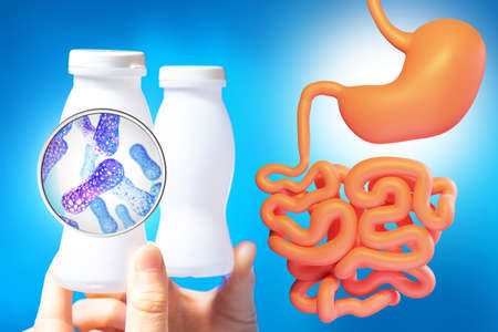 Probiotic bacteria. Beneficial substances for the gastrointestinal tract. Probiotics near human stomach. Onions with white bottles containing probiotics. Beneficial bacteria and microorganismsの写真素材