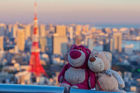 Teddy bears. Teddy bears are sitting in an embrace. Soft toys on the background of the city. Lovers on the roof. Concept - first love. Excursions for lovers. Tokyo Television Tower. Japan.の写真素材