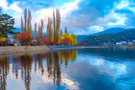 Japan. Kawaguchiko Lake. Landscape of Yagizaki Park. Japanese maple on the shores of Kavagutik. The nature of the city of Fujikawaguchiko. Trees are reflected in the lake. Five Fuji Lakes.の写真素材