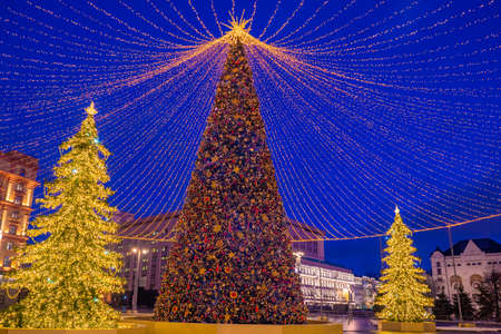 Moscow. Russia. Big Christmas tree in the center of Moscow. Christmas tree decorated with garlands. Several Christmas trees glow at night. New Year holidays in Moscow. Winter Russia Guideの写真素材