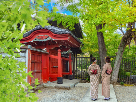 Culture of Japan. Geishas in Tokyo. Women in Japanese dresses. Traditional people of Japan. Geishas...