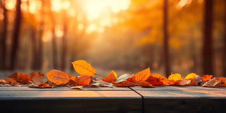 Orange autumn leaves on wooden bench. Leaf fall in autumn park. Tree petals at sunny blurred streetの素材