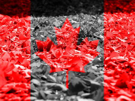 Flag of Canada, Canada Flag in autumn wallpaper   mapleの写真素材