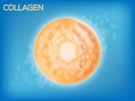 collagen and cell graphic insideのイラスト素材