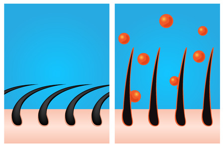 a gel makes hair stand / a conditioner makes hair strongのイラスト素材