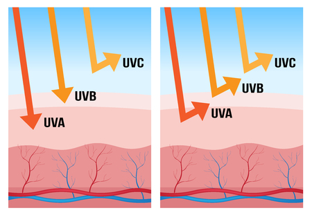 uv-a, uv-b and uv-c protectionのイラスト素材