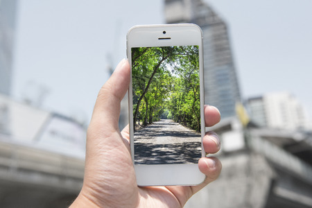 mobile , smart phone with nature picture and city at the background , nature mobile set 2の写真素材