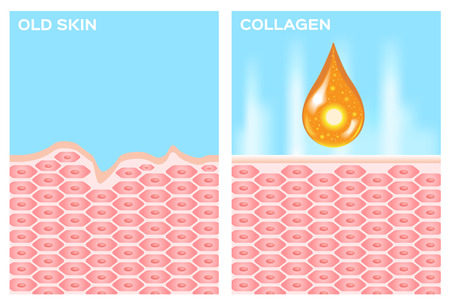 collagen and skin vector . drop collagenのイラスト素材