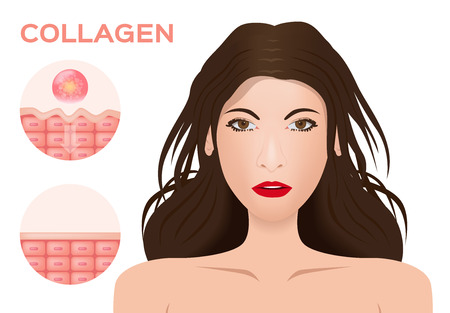 collagen apply on skin and women faceのイラスト素材