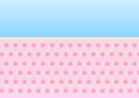 skin and anatomy vector , pink skin backgroundのイラスト素材