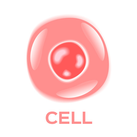 skin cell vector . skin cell iconのイラスト素材