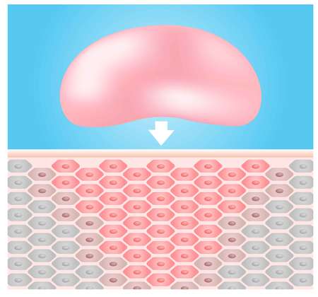 moisturizer lotion make dry skin turn in to smooth skin vectorのイラスト素材