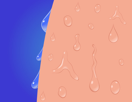 wet skin vector . moisturizer skin . water dropのイラスト素材