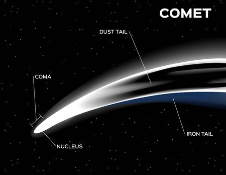 comet anatomy vectorのイラスト素材