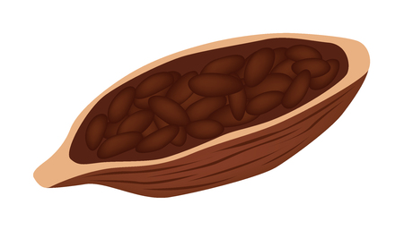 cocoa and chocolate seed vectorのイラスト素材