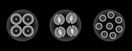 stem cell part 2 vector