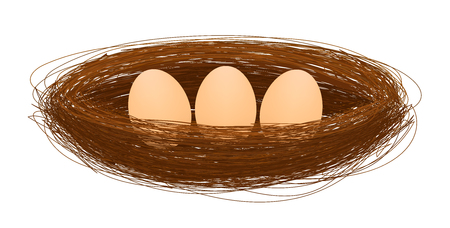 bird nest with egg vectorのイラスト素材