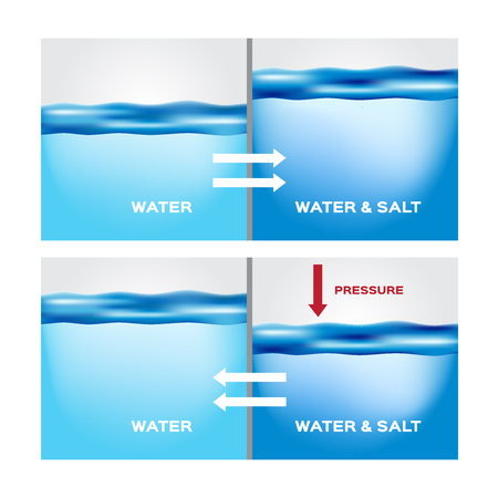 water and aqua osmosis infographic vectorのイラスト素材