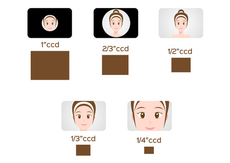 CCD compare to women scale vector graphicのイラスト素材