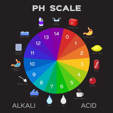 ph scale vector graphic . acid to baseのイラスト素材
