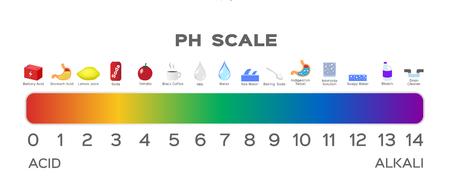 ph scale vector graphic . acid to baseのイラスト素材