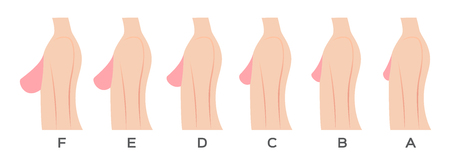 Breast size and type vectorのイラスト素材