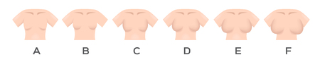 Breast size and type vectorのイラスト素材