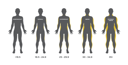 human fat from under weight to obese vectorのイラスト素材