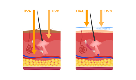 uv skin and ultraviolet icon logo vectorのイラスト素材