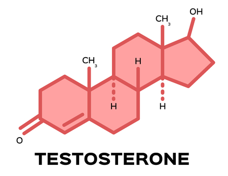 sex hormones , testosterone vectorのイラスト素材