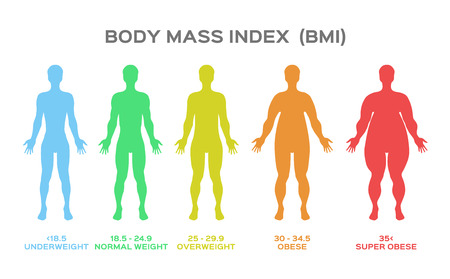body mass index vectorのイラスト素材