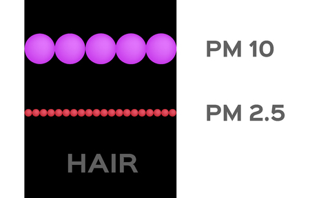 air pollution going to human lung . pm 2.5 - 10 vectorのイラスト素材