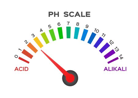 ph scale vector graphic. acid to baseのイラスト素材