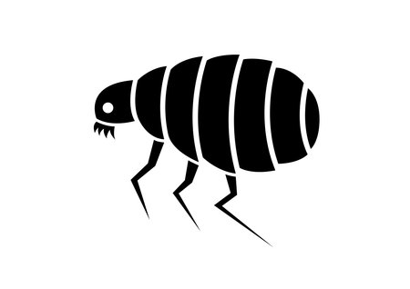 flea icon on white background / vector