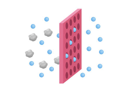 osmosis infographic and filter vector on white backgroundのイラスト素材