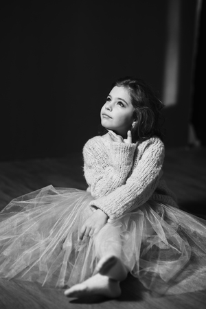 Little beautiful girl with brown hair in a light sweater. Studio. A princess.の写真素材