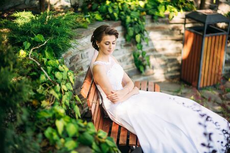 Portrait of the bride in the park. Wedding dress. Sunny day.の写真素材