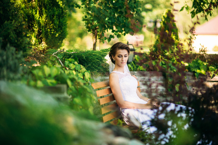 Portrait of the bride in the park. Wedding dress. Sunny day.の写真素材