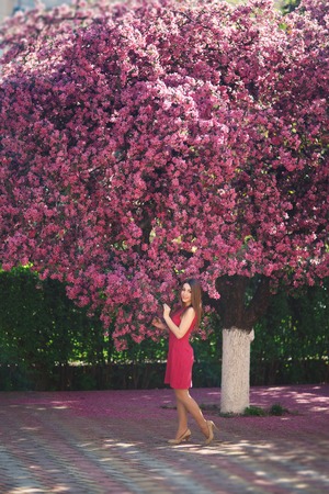 Beautiful girl posing to the photographer against the background of blooming pink trees. Spring. Sakuraの写真素材