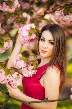 Portrait of Young girl posing for a photo. Flowering pink trees in the background. Spring. Sakuraの写真素材