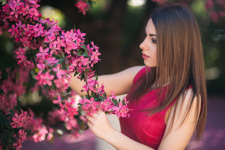 Young girl posing for a photo. Flowering pink trees in the background. Spring. Sakuraの写真素材