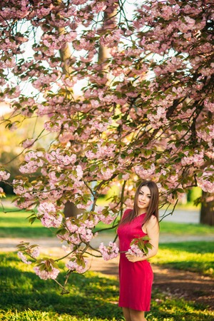Portrait of Young girl posing for a photo. Flowering pink trees in the background. Spring. Sakuraの写真素材