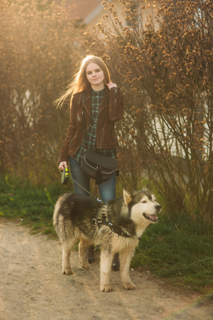 Blode lady model poses to photographer with husky dogの写真素材
