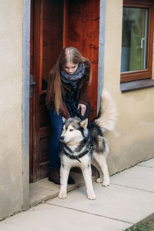 Blode lady model poses to photographer with husky dogの写真素材