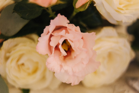 Macro photo of Floral decoration on the wedding in restaurantの写真素材