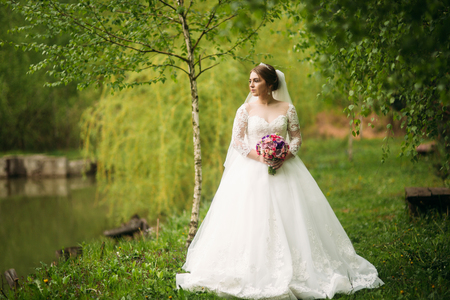 Beautiful bride in pakr on the wedding dayの写真素材