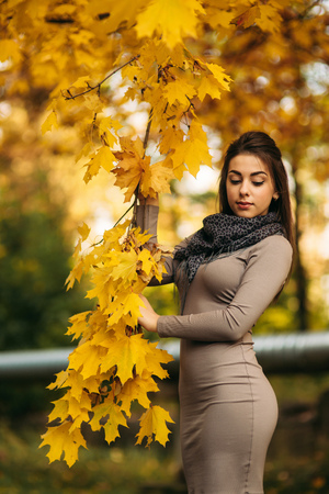 Beautiful autumn woman with autumn leaves on fall nature background. Branch with yellow leavesの写真素材