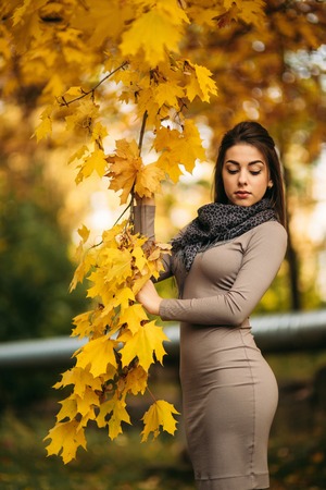 Beautiful autumn woman with autumn leaves on fall nature background. Branch with yellow leavesの写真素材